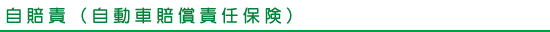 自賠責（自動車賠償責任保険）