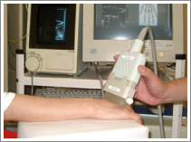 エコー（超音波画像診断装置）